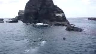 慶良間諸島・久場島ダイビング