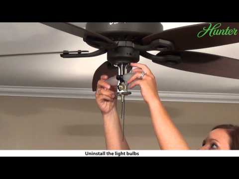 Shell Ceiling Fan Light Kit Shell Ceiling