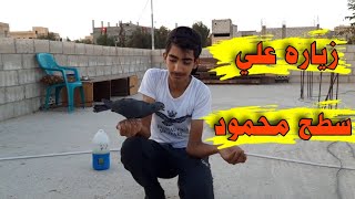 زياره عند محمود  طبعا حمام جميله علي قد الحال  مشاهده ممتعه