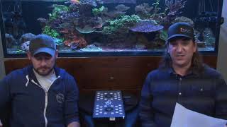 Bulk Reef Supply Reef Breeders Photon Review