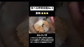 【食べる野草図鑑No.5】七草じゃない方のホトケノザを富山の郷土料理で頂く。#野草#ホトケノザ#郷土料理#薬膳#サバイバル#七草#美容