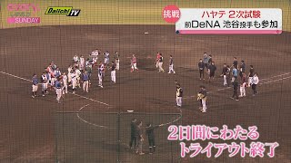 あの選手も…プロ野球ファームリーグへの新規参入内定「ハヤテ２２３」２日間にわたるトライアウト詳報！