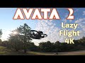 DJI Avata 2 Lazy Morning Flight 4K