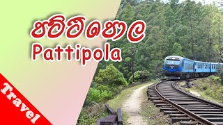 Pattipola - Highest Railway Station Of Srilanka (පට්ටිපොල - ලංකාවේ උසින්ම පිහිටි දුම්රිය ස්ථානය)