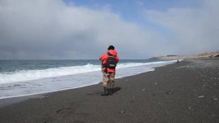 上ノ国町寅ノ沢海岸サクラマス