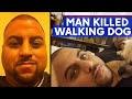 Man walking dog fatally shot by stray bullet in NYC