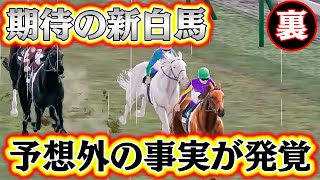 期待の白馬さん、実は〇〇がダメらしい【裏ロマン牧場2】