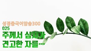 성경중국어암송300ㅣ25주께서심지가견고한자를ㅣ트루중국어 진쌤 中韩圣经学习