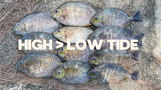 Fishing from High tide to Low tide - Garonger Technique