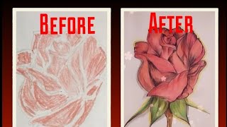 How to draw Rose with Dom's Color Pencils || Step by Step  | Just Like Art