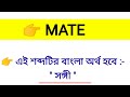 mate meaning in bengali mate শব্দের বাংলা অর্থ কি word meaning of mate