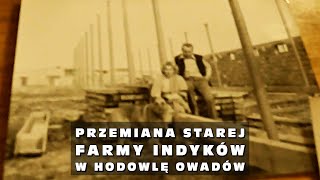 Przemiana starej farmy indyków w hodowlę owadów