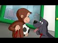 george s zoo night 🐵 full episodes curious george