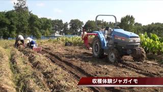 Welcome to Sapporo Satoland ようこそサッポロさとらんどへ