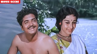 കള്ളിച്ചെല്ലമ്മ | Prem Nazir, Sheela Movie Scene | kallichellamma malayalam movie scene | Madhu