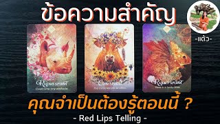 Pick A Card : ข้อความสำคัญ ที่คุณจำเป็นต้องรู้ตอนนี้? [ Timeless ]