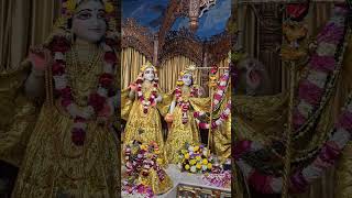 আজকের মায়াপুরের রাধা মাধবের দিব্য দর্শন। Today's Mayapur Radha Madhav's Devine Darshan #mayapur