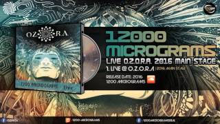 1200 Micrograms - Live Ozora Festival Main Stage 2016