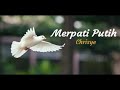 Merpati Putih - Chrisye lirik