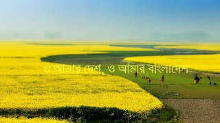 Protidin Tomay Dekhi Surjo Rage। প্রতিদিন তোমায় দেখি সূর্য রাগে । Lyrics ।