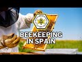 🍯Villa Carmen Bees #beekeeping