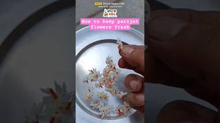 How to keep parijat flowers fresh #youtubeshorts