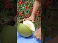 pomelo fruit 😱🔥 chakotra shorts