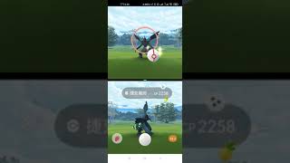 #異色#shiny#捷克羅姆#Zekrom#看不出差別#5星#團戰