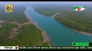 সুন্দরবন রক্ষায় আইন অনুযায়ী সকল পদক্ষেপ নিবে সরকার