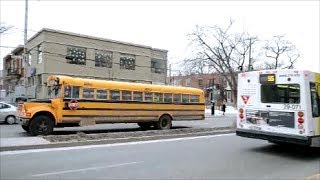 2 OLD INTERNATIONAL BUSES IN ACTION