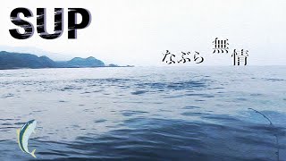 【SUP(サップ）なぶら打ち】SUPは、なぶらの近くまで行けます。とはいえ、必ず釣れるとは限りません。。。ルアーとベイトがマッチしていないのでしょうか。。。