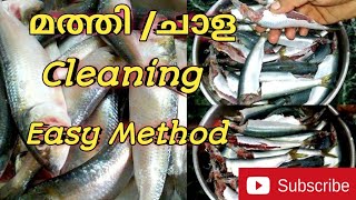 How to clean sardines|mathi cleaning|chala cleaning|fish cleaning| easy മത്തി cleaning and cutting