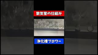 【浄化槽ブロワーと散気管】水を浄化する裏側の技術紹介！ #浄化槽#ブロワー#浄化槽管理士