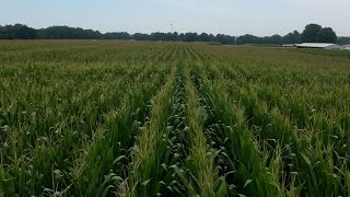 Xyway LFR Fungicide Research Report 2021