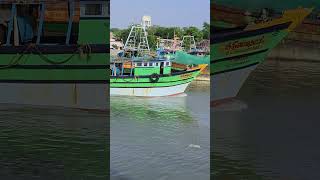 Nagapattinam harbour #fishing #shorts