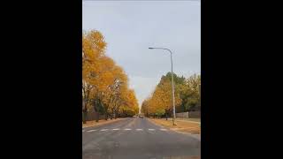 Fall In Fargo