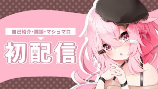 【初配信】はじめまして！はんべちゃんです！【新人Vtuber】