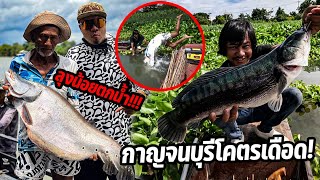 สุดจัด! ปลายักษ์ของเด็ดเมืองกาญ ใหญ่แบบไม่เกรงใจใคร