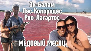 VLOG #10: Розовые озера, крокодилы, город Майя Эк-Балам