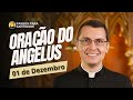 Oração do Angelus com Padre Alex Nogueira | 01 de Dezembro | Passos para Santidade