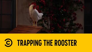 Trapping The Rooster | The Neighborhood | Comedy Central Africa