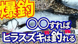 【禁断の釣り】ヒラスズキ釣り荒れ狂う磯で仕留める、その魅力と危険性