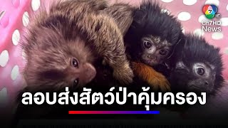 รวบหนุ่มลักลอบนำสัตว์ป่าคุ้มครองออกนอกประเทศ อ้างรับจ้างจากนายทุน จ.ตาก | ข่าวเด็ด 7 สี