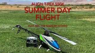 Summer Day Flight With The ALIGN T-Rex 550X