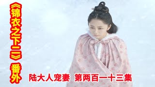 《锦衣之下2》之陆大人宠妻 第213集：陆绎谢宵跳入悬崖被沈家人救起，晗笙与岑福在驿站相遇