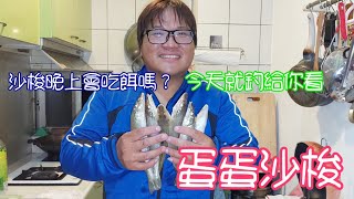 【胖咪】fishing 117：南部蛋蛋沙梭季節開跑嘍／沙梭晚上會吃餌嗎？ 今天就釣給你們看！！