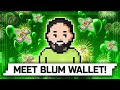 Blum Wallet is Here! 👏 | Blum News