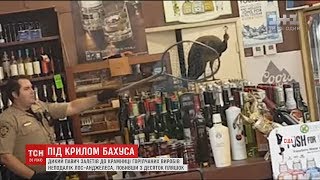 Дикий павич влаштував безлад у крамничці горілчаних напоїв біля Лос-Анджелеса