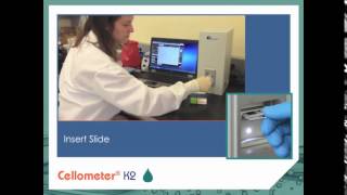 Thermolab : The cellometer K2 image cytometer for cell counting analysis