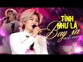 TÌNH NHƯ LÁ BAY XA - VICKY NHUNG thổi làn gió mới cho top hit đình đám của JIMMY NGUYỄN | Live Stage